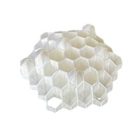 Magideal - Asego De Abejas Sin Daños Portátiles Efectivo Reutilizable Fácil De Colgar Mantenga Avispas Alejadas Para El Jardín Al Aire Libre De La Puerta Al Aire