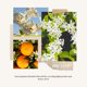 thumbnail image 2 of Difusor de Varillas Airkeep 100 ml Jazmín y Lirio – 8 Varillas, 2 of 7