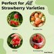 thumbnail image 3 of Sustrato para macetas PERFECT PLANTS 3,8 L Mezcla de fresa, 3 of 6