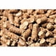 thumbnail image 5 of Pellets de madera Bear Mountain Premium BBQ Hickory bolsa de 9 kg, 5 of 7