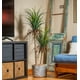 thumbnail image 2 of Planta Artificial Yuca 160 CM, Con Filtro UV, 2 of 3