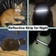 thumbnail image 3 of Collar para gatos Dgerp Airtag Breakaway Reflective con campana naranja, 3 of 3