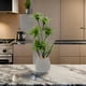 thumbnail image 3 of Planta Artificial Bambu Lirio Decorativo Macetero Ceramica, 3 of 8