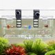 thumbnail image 1 of Caja de Crianza e Aislamiento para Peces de Acuario BaoZqua de Triple Cámara, 1 of 7