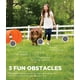 thumbnail image 2 of Kit de entrenamiento de agilidad para perros Outward Hound Zip & Zoom Outdoor, 2 of 8