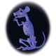 thumbnail image 5 of Crazy Bonez Ghostly Skeleton Rat Black Light Responsive Prop, 5 of 5