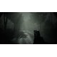thumbnail image 4 of JUEGOS DE CONSOLA Tesura Games Amber Alert (PS5), 4 of 6