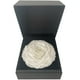 thumbnail image 1 of Gift Box 6 Con Rosa Preservada Natural Bonita Blanco, 1 of 2