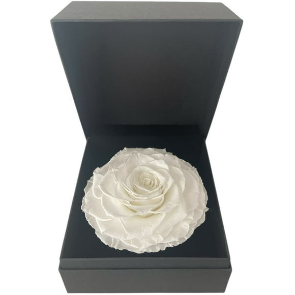 Gift Box 6 Con Rosa Preservada Natural Bonita Blanco