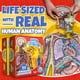 thumbnail image 2 of Floor Puzzle Dr Livingston Jr Anatomía Humana 100 Unidades, 2 of 7