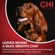 thumbnail image 3 of Champú CHI para perros sin lágrimas para cachorros, 473 ml, sin sulfatos ni parabenos, 3 of 6