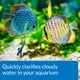 thumbnail image 3 of Clarificador de agua API ACCU-CLEAR para acuarios de agua dulce 37 ml, 3 of 7