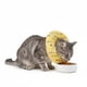 thumbnail image 1 of Collar Isabelino Suave Ajustables Talla S Mod 3, 1 of 3