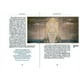 thumbnail image 3 of Mitología Vikinga de Editorial Biblok, 3 of 5