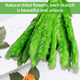 thumbnail image 5 of 30 piezas de flores secas naturales de hierba de la pampa seca, planta de junco con caja, flores reales, ramos de flores románticas para bodas, sabrosas y duraderas para decoración del hogar DIY, a ju, 5 of 5