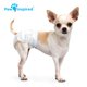 thumbnail image 4 of Pañales para Perros Paw Inspired XXS Hembra 32 Unidades Ultra, 4 of 5