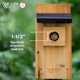 thumbnail image 5 of Casa para pájaros Nature's Way Wild Wings WWCH3 de cedro para azulejo, 5 of 7