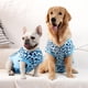 thumbnail image 3 of Traje De Recuperación Para Perros Transpirable Anti Lamido Tipo Enterizo, 3 of 7