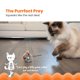 thumbnail image 3 of Juguete para gatos Catstages Squeak Squeak Mouse con sonido y hierba gatera gris, 3 of 8