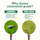 thumbnail image 3 of Polvo de Matcha Perfect Ted 75 g – Grado Vainilla, 3 of 9