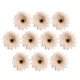 thumbnail image 3 of 10 piezas de gerbera artificial margarita flores cabezas para diy caqui, 3 of 3