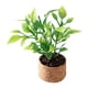 thumbnail image 2 of 1/12 Casa De Muñecas Plantas En Macetas De Plástico Micro Decoración De Paisaje Suministros De Paisaje, 2 of 5