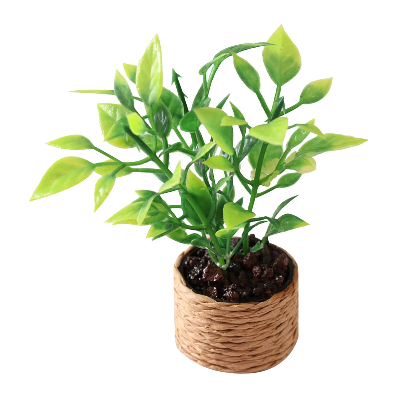 Magideal - Micro Paisaje Artificial Mini Casa De Muñecas Escena Bonsai Modelo 1/12 Muebles Casa De Muñecas Plantas En Maceta De Plástico Decoración De Plantas En