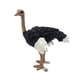 thumbnail image 5 of Figuras Animales, 5 of 5