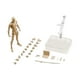 thumbnail image 1 of Conjunto De Cuerpo De Figuras De 15 Cm Con Soporte De Exhibición De Figura Para Decoración De Dormitorio Albaricoque Masculino, 1 of 5