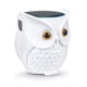 thumbnail image 1 of Soporte de altavoz LDYAN Echo Dot Owl para Echo Dot 4.ª generación, 1 of 7