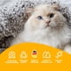 thumbnail image 5 of Orina antigatos y perros en aerosol Petdly, 500 ml, no deja marcas, 5 of 7