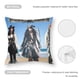 thumbnail image 5 of Piratas del Caribe Fundas de almohada de terciopelo con tema, regalos de funda de almohada, decoración para el hogar, cojín de lanzar, regalo de cumpleaños para fans y parejas. 45cm x 45cm., 5 of 6