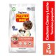 thumbnail image 1 of Alimento Seco Cachorro Raza Pequeña Carne y Leche Bolsa, 1 of 1