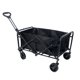 thumbnail image 1 of Carro De Camping Plegable Negro, 1 of 6