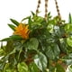 thumbnail image 3 of Planta artificial de bromelia y pothos casi naturales de 80 cm, 3 of 3