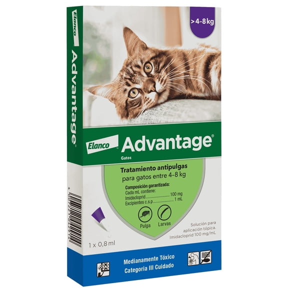 Advantage gato 4 a 8 kg
