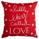 thumbnail image 1 of Cojin Palabra De Amor Ii, 1 of 3