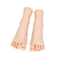 Ioensy - Mujeres Mannequin Feet Muestra Modelo De Pie De Arte Para Uñas Para Joyas Anillos De Los Pies Zapatos