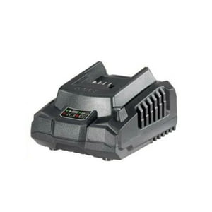 Cargador De Baterías Ingco 20V Industrial Fcli2001-7