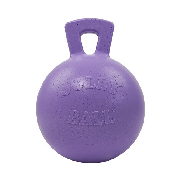 Juguete para Perro Jolly Pets 25 cm Lila Claro con Asa