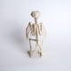 thumbnail image 3 of Esqueleto de Cuervo 20 x 15 x 12 cm Halloween - Frank & Mortis, 3 of 3