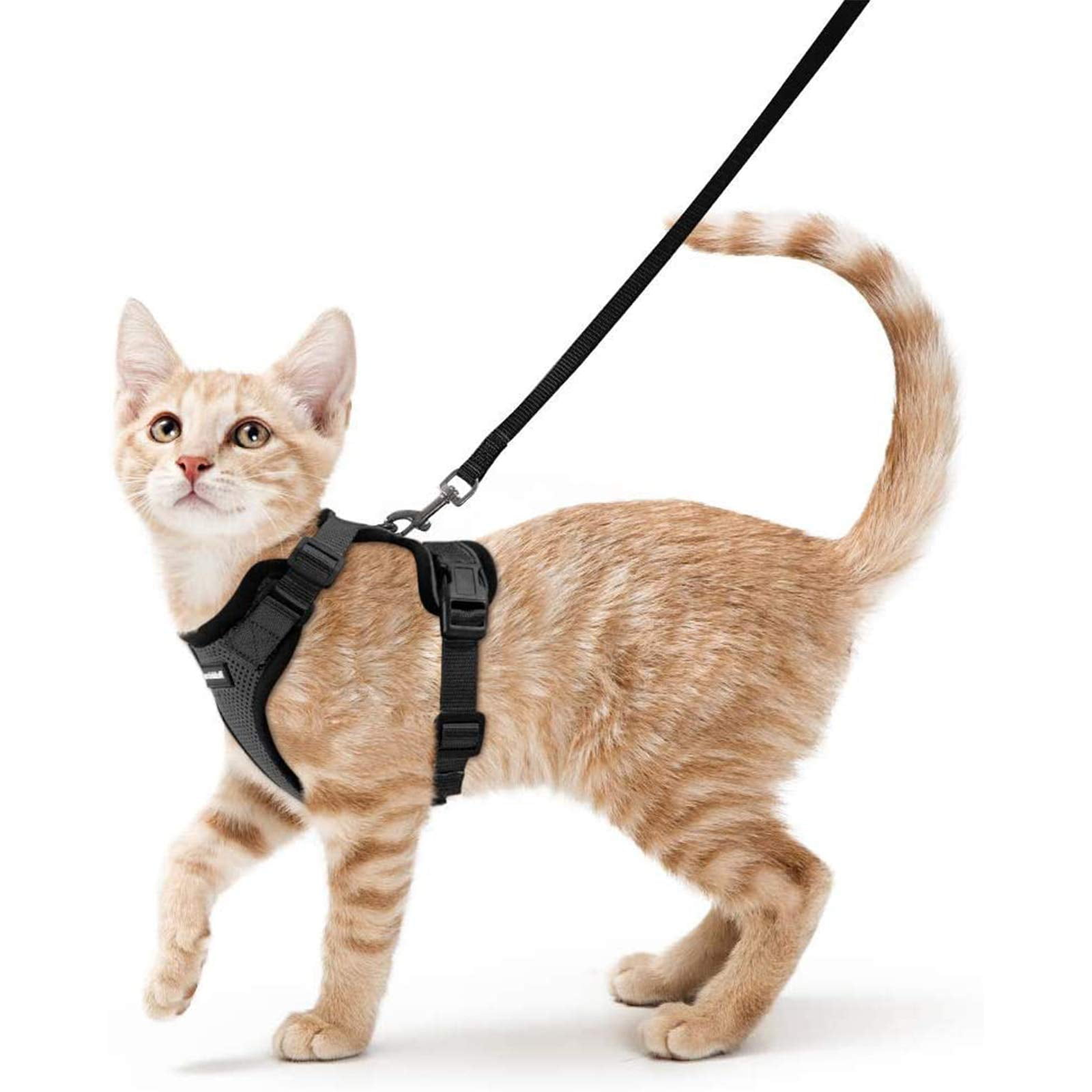Arnés Y Correa Para Gatos Para Pasear Rabbitgoo Black Xs