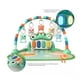 thumbnail image 5 of Gimnasio Pedal Piano Dinosaurio Verde, 5 of 7