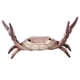 thumbnail image 3 of Get a Grip with the Cute and Functional Crab Pen Holder - Perfect for Students!, 3 of 5