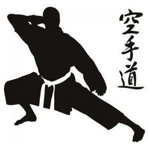 Rienda Libre Graphics - Decomural Martial Arts Sports Karate Ws-19256