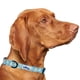 thumbnail image 1 of Collar de perro con corbatas de goma, de nailon, para perros medianos, 1 of 2