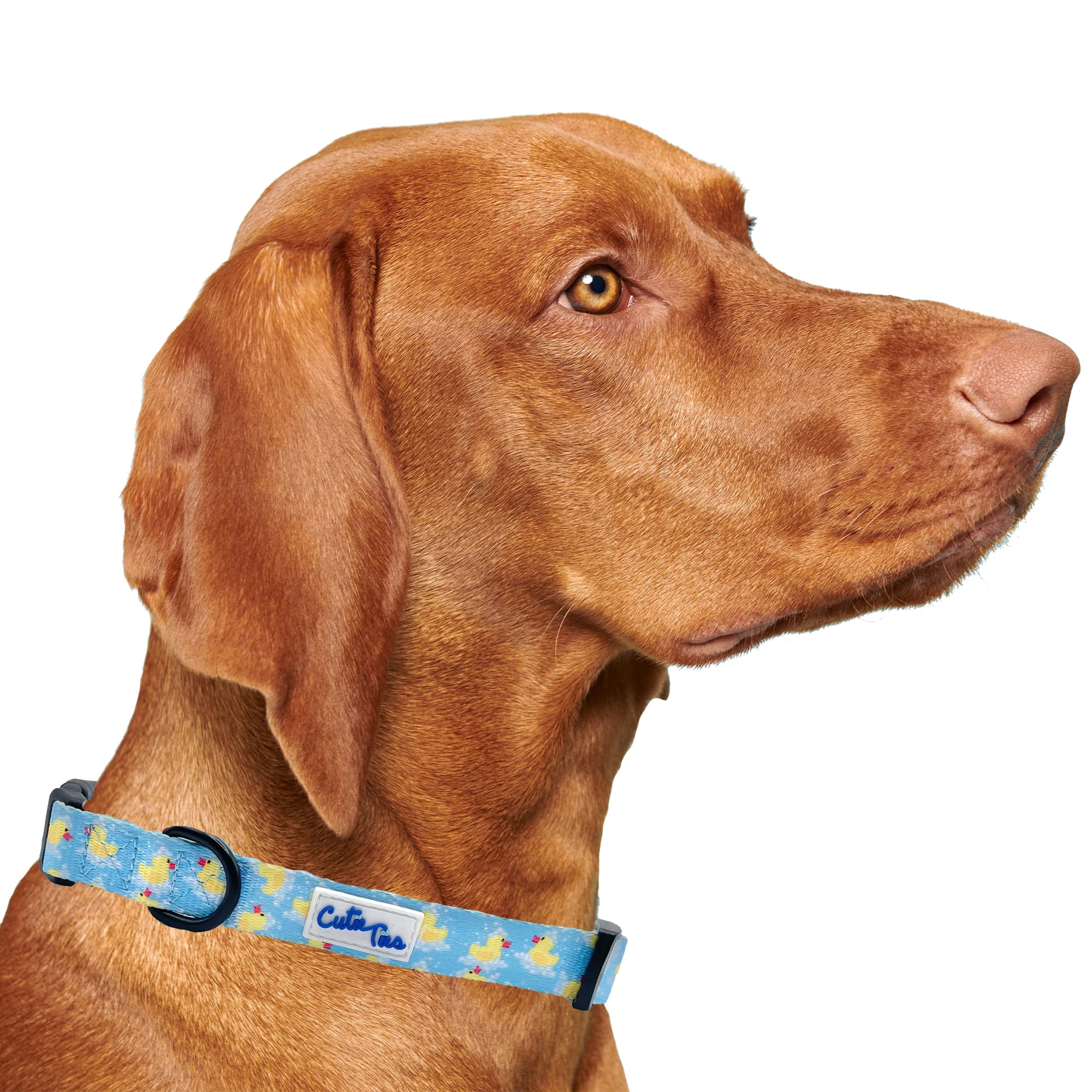 Cutie Ties - Collar De Perro Con Corbatas De Goma, De Nailon, Para Perros Medianos