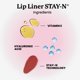 thumbnail image 5 of Sacheu Lápiz delineador de labios STAY-N con tinte desprendible, 5 of 9