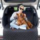 thumbnail image 1 of Cubierta de Asiento HNCPSY 178 cm x 102 cm Impermeable para Carga de Perro en SUV, 1 of 8
