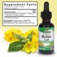 thumbnail image 3 of Extracto Hoja Mullein Natures Answer 30ml Sin Alcohol, 3 of 3